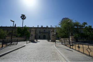 7 Best Insider's Tips for Studying Abroad in Seville  Thumbnail