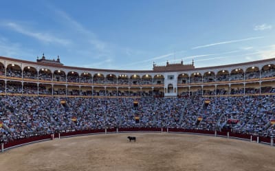 31 Cultural & Interesting Facts About Bullfighting in Spain Thumbnail