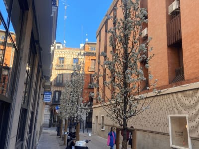 Prepare for Madrid's Weather: Advice from a local + 4 Tips! Thumbnail