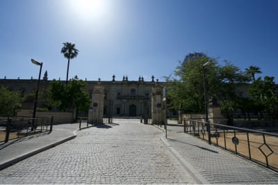 7 Best Insider's Tips for Studying Abroad in Seville  Thumbnail