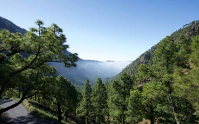 9 Natural Wonders in Spain Worthy of Your Bucket List! Thumbnail