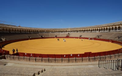 What Is Bullfighting? Origin, Purpose, and Top Festivities in Spain Thumbnail