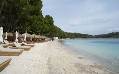 Mallorca in Spring: 7 Reasons Why It’s My Favorite Season Thumbnail