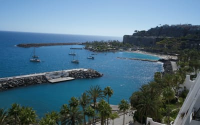 3 Theories Around the Canary Islands name (+ 13 Fun Facts!) Thumbnail