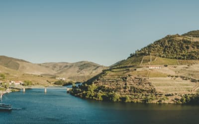 Duoro River: The 8 Facts and 3 Activities before you visit! Thumbnail