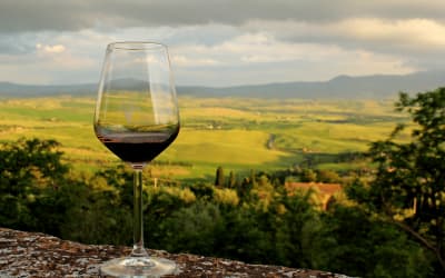 15 Wine Regions in Spain for a fascinating "Ruta del Vino" Thumbnail