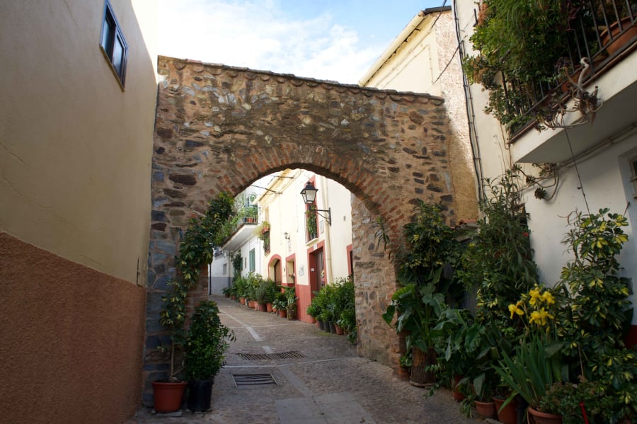 arco del tinte guadalupe spain