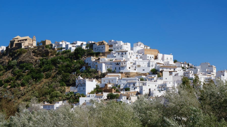 arcosdelafronterapb