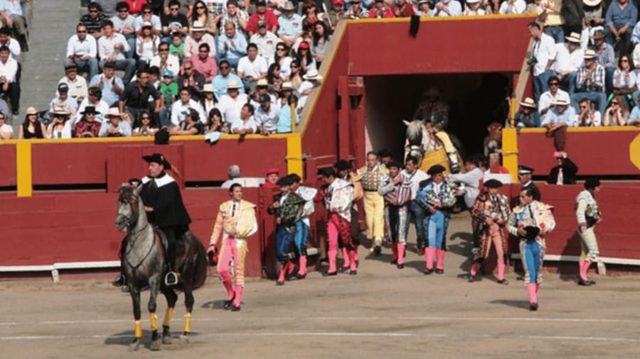 Bullfight participants
