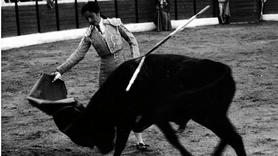 Bullfighter woman