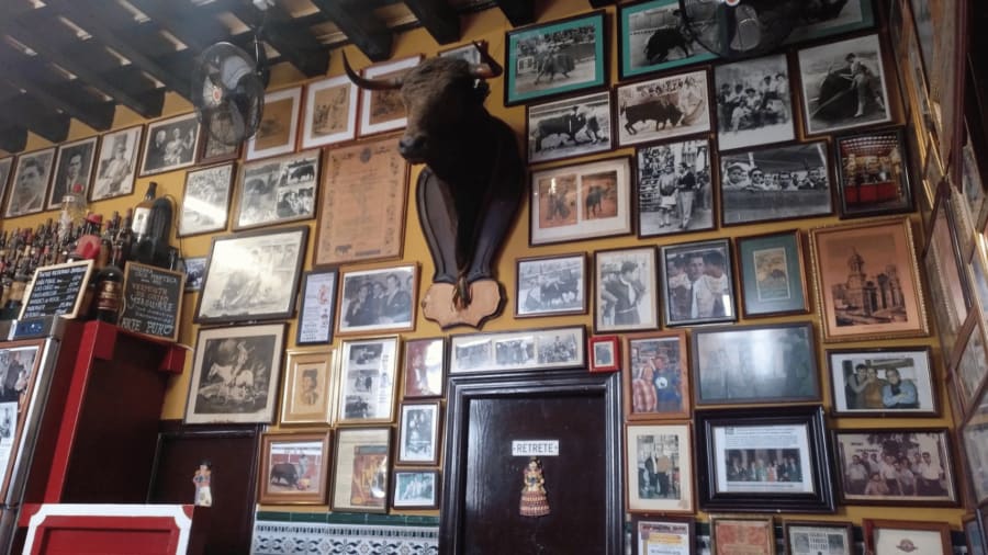 Bulls bar