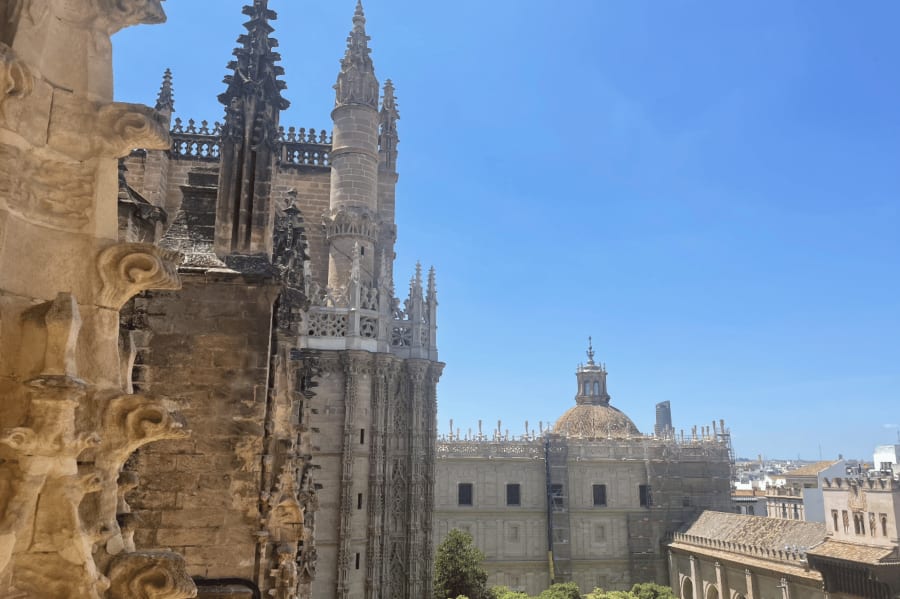 catedral-de-sevilla-view-from-the-top