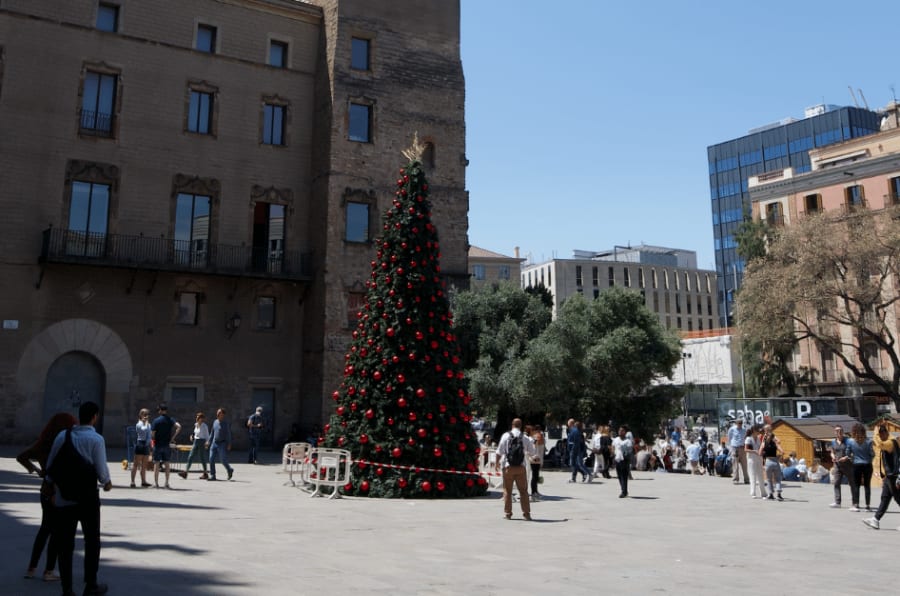 early christmas tree in barcelona