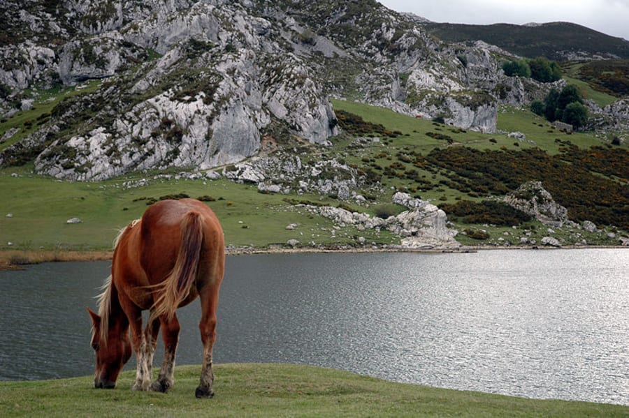 Lakes of Covadonga