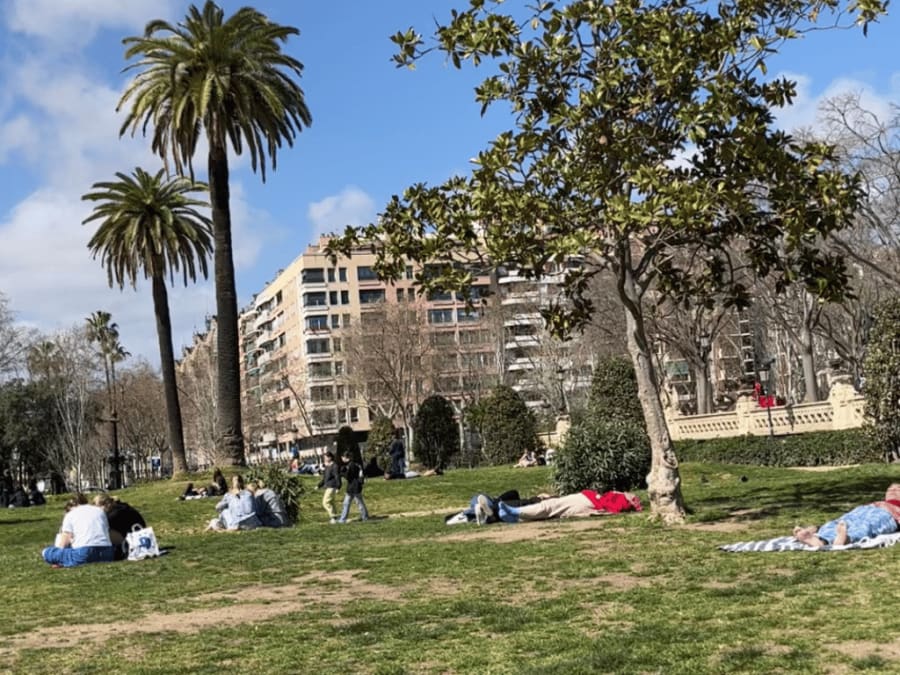 People chilling in the Ciutadelle Park in spring.