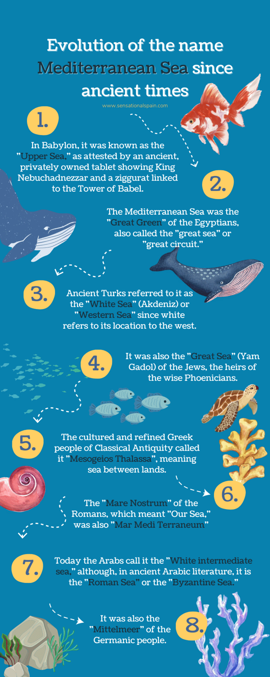 Evolution of the name Mediterranean Sea