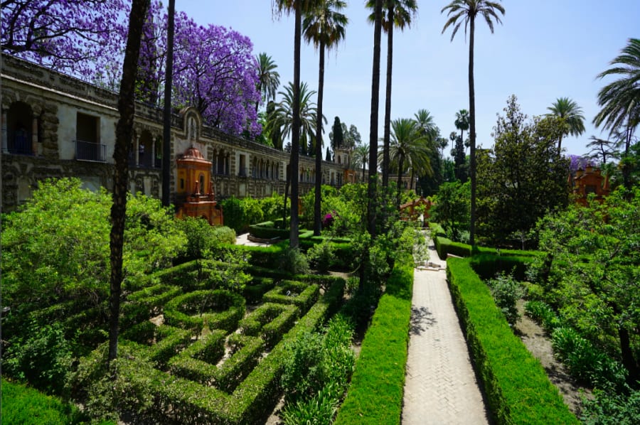 Picture in the Real Alcazar of Seville