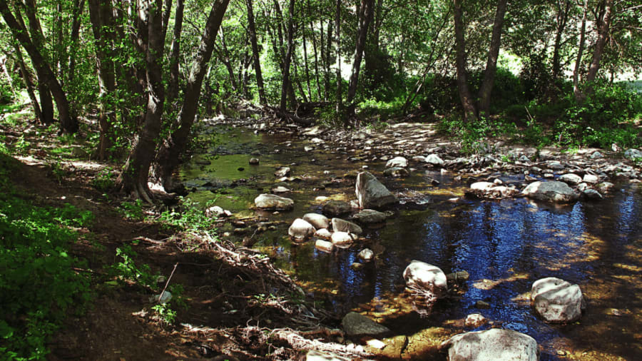 guadalixmadrid