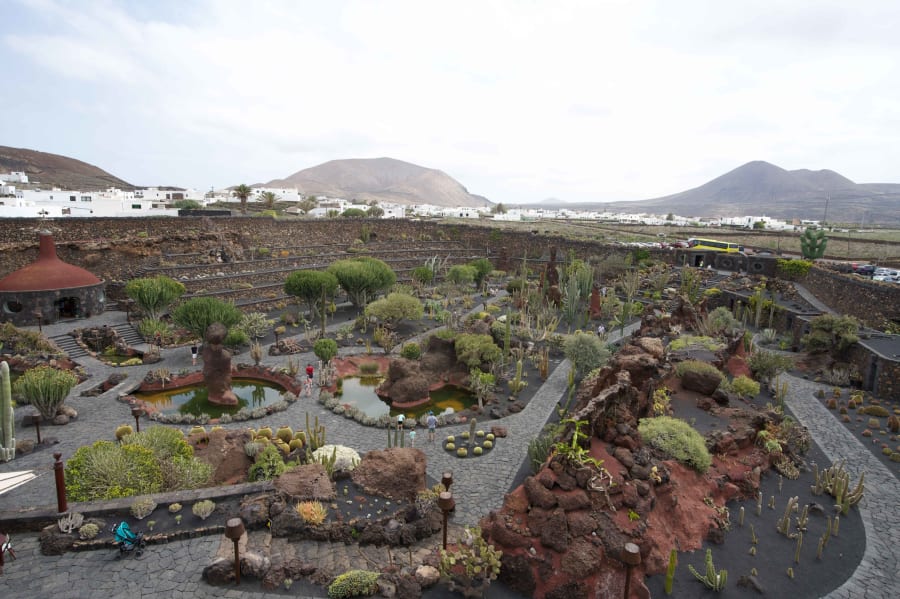 jardin de cactus lanzarote spain