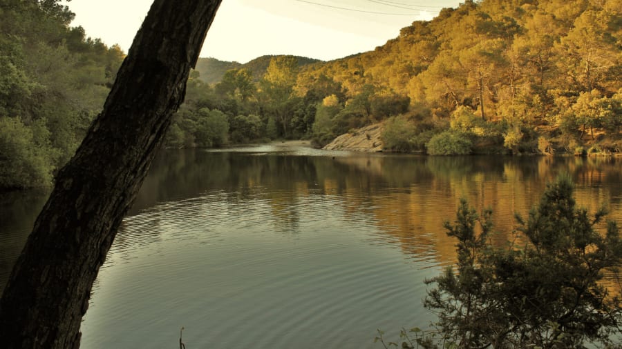 Llac Petit de Terrassa