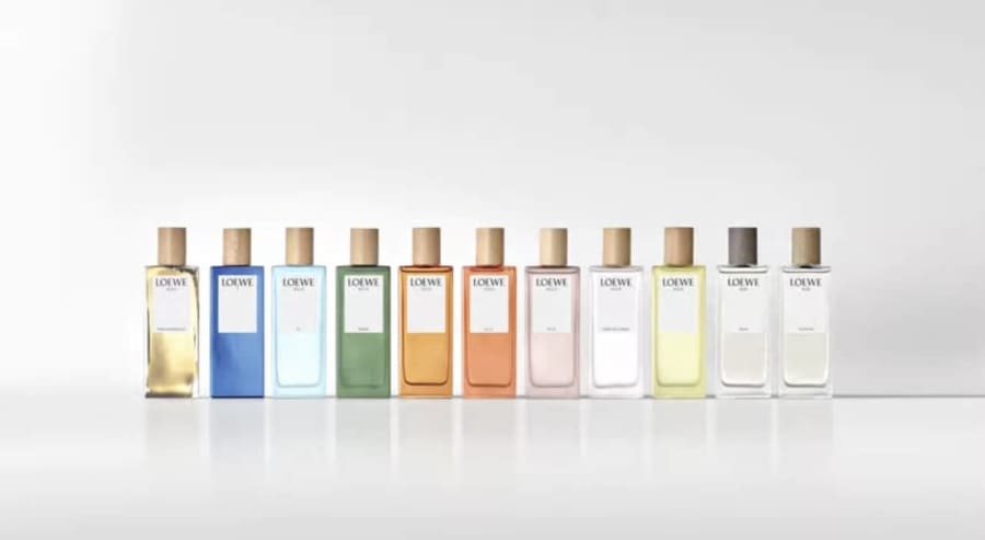 Loewe fragances