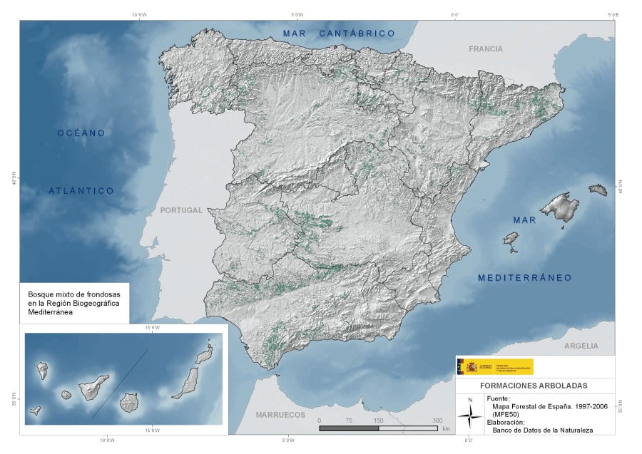Forest map of Spain