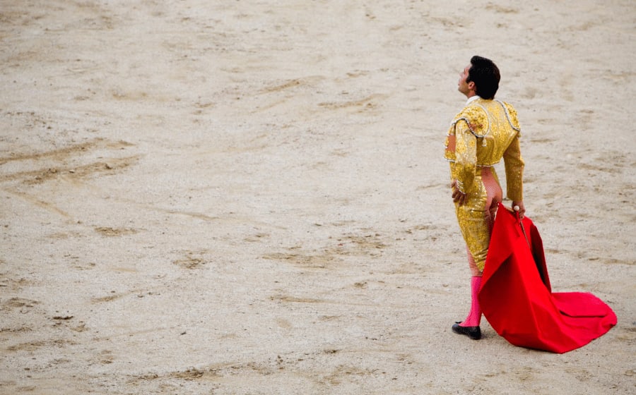 Matador in the arena of Spain