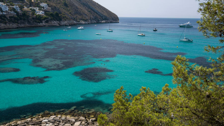 Mediterranean Sea Temperature
