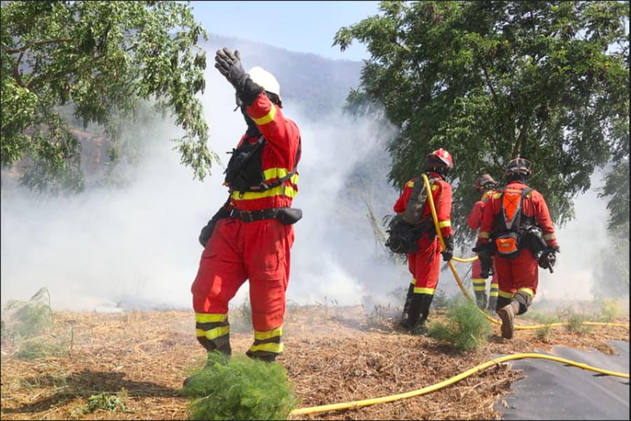 Spanish military emergency units photo