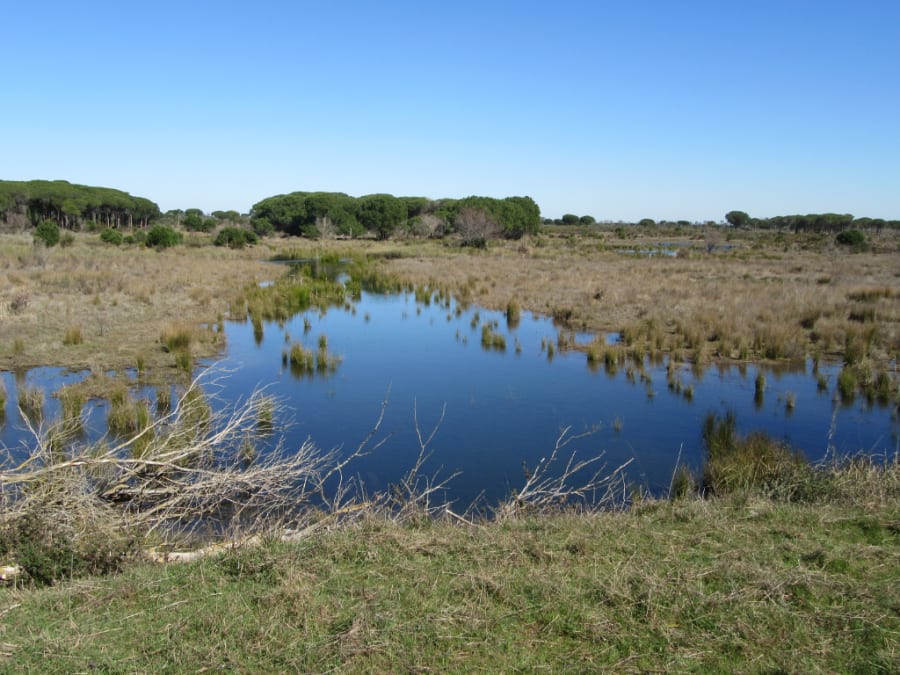 Donana National Park in Andalusia