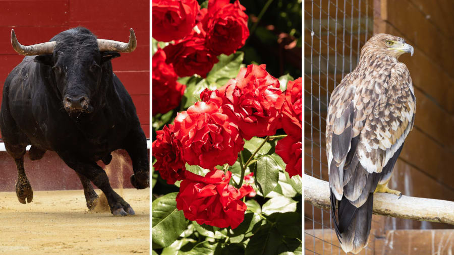 National symbols of Spain