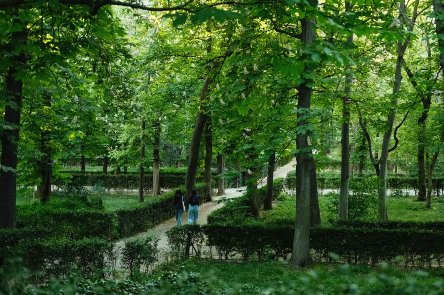 madrid spain retiro park