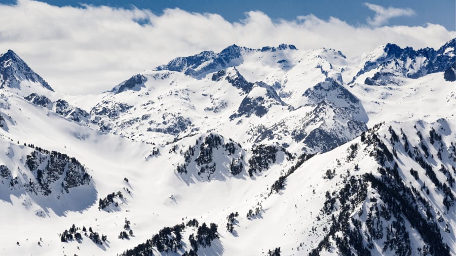 The Snowy Mountains