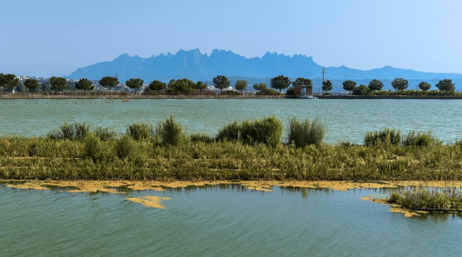 Parc de l'Agulla Lake