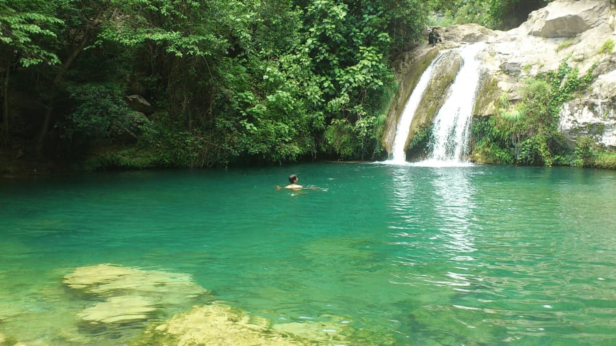 rierademerlesriver
