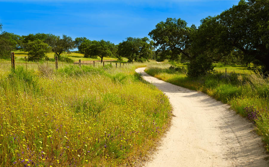 Special Features of the Silver Way