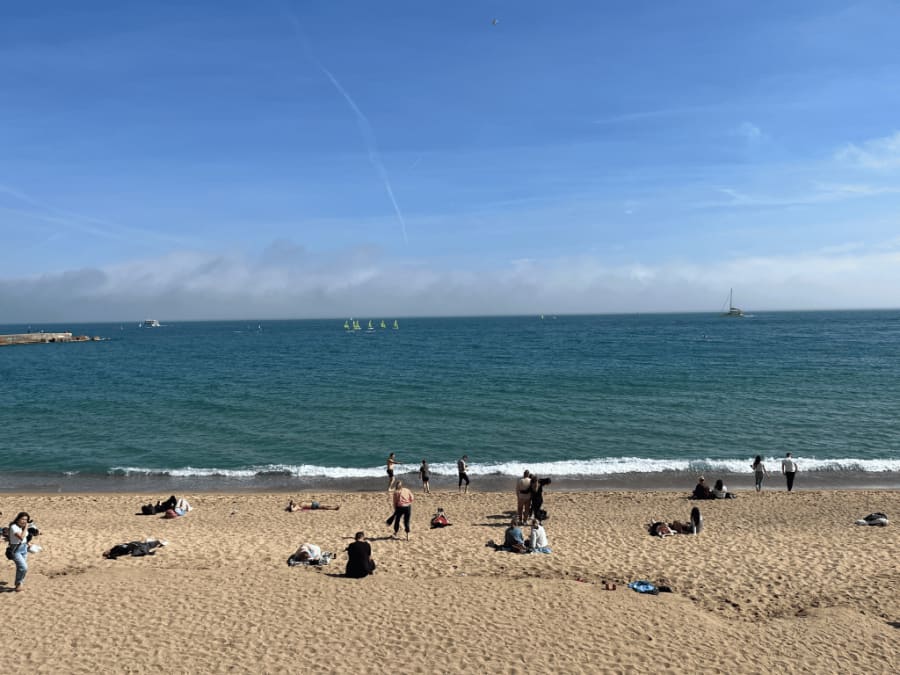 Photo of summer in barcelona