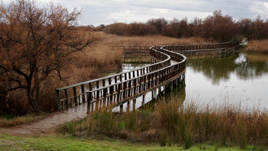 Tablas de Daimiel National Park