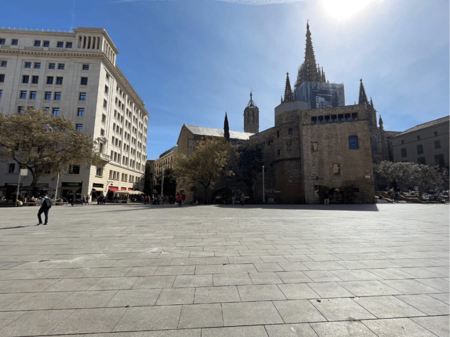 Photo of the barcelona cathedral in spring 