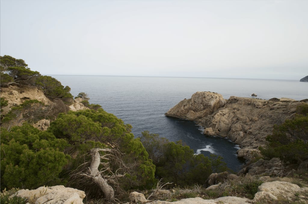 21-far-de-capdepera-10