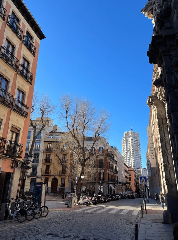 Malasaña-Vintage-Stores