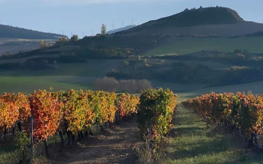 Spanish Vineyards: Insider’s Guide to the Best Wine Tours Thumbnail