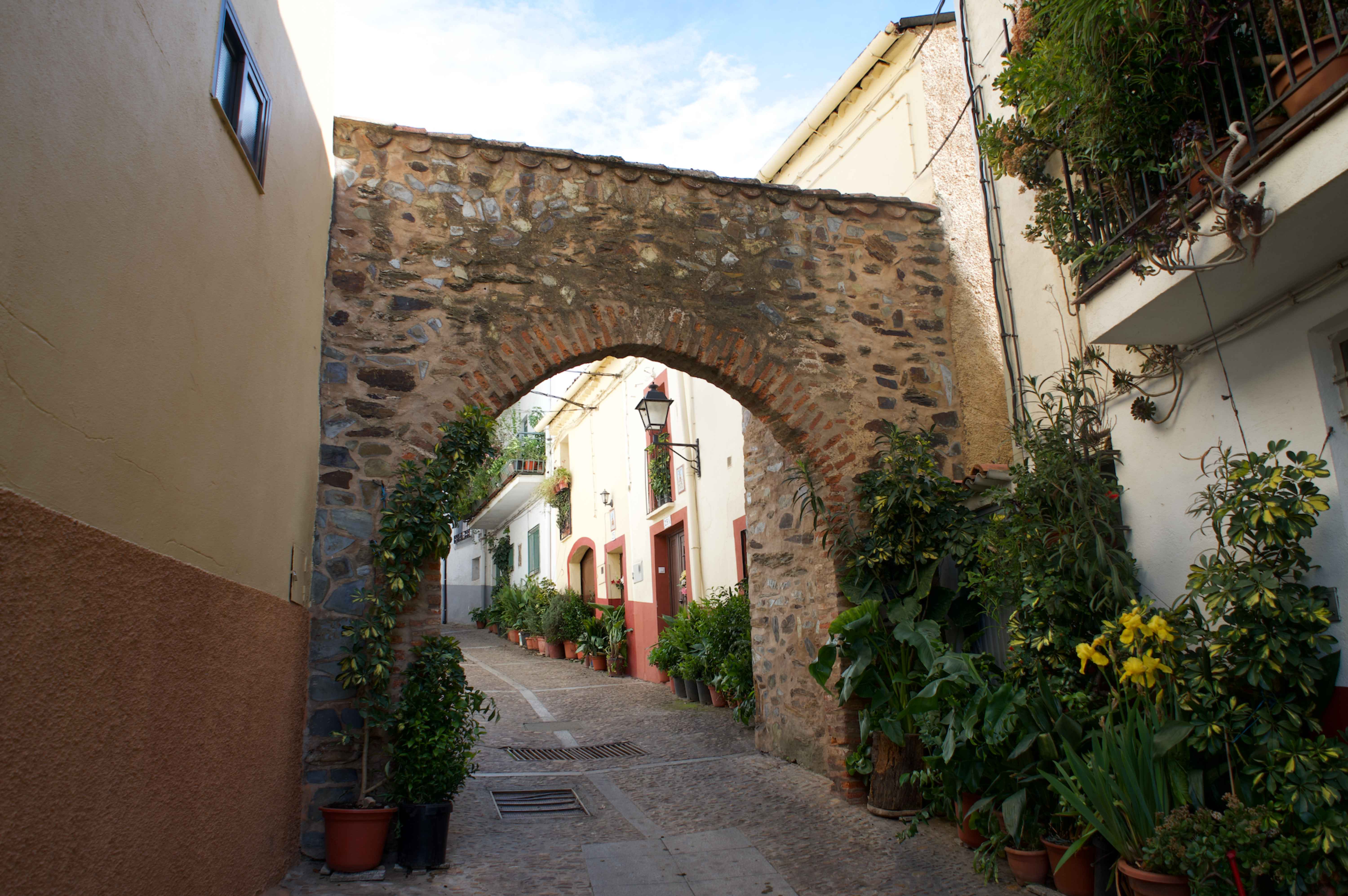 arco del tinte guadalupe spain
