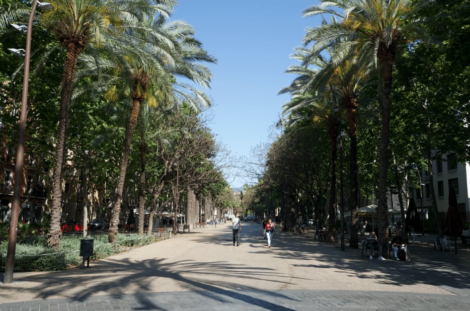 10 Best Activities for the Perfect Summer in Barcelona! Thumbnail