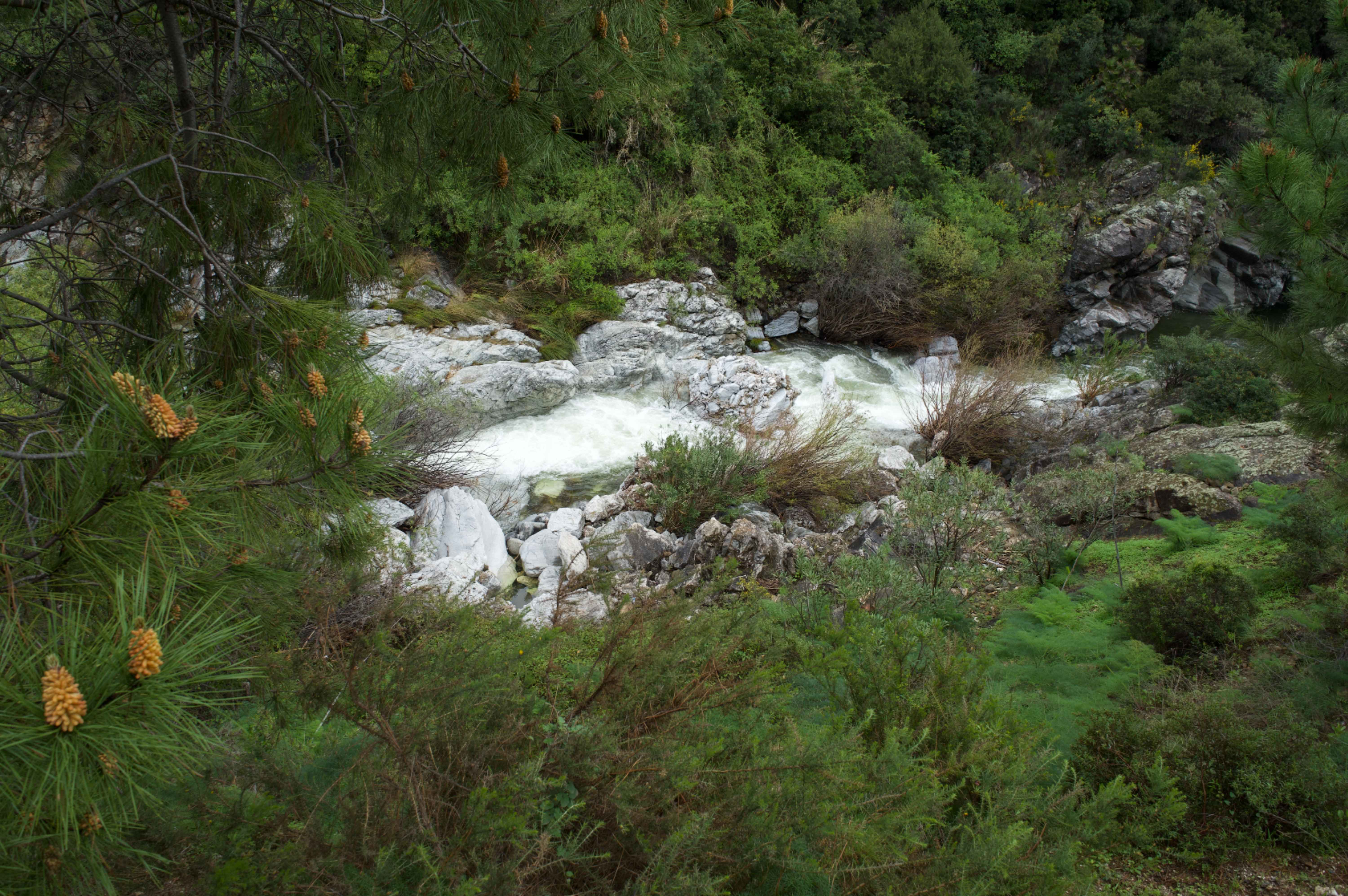 benahavis spain nature route