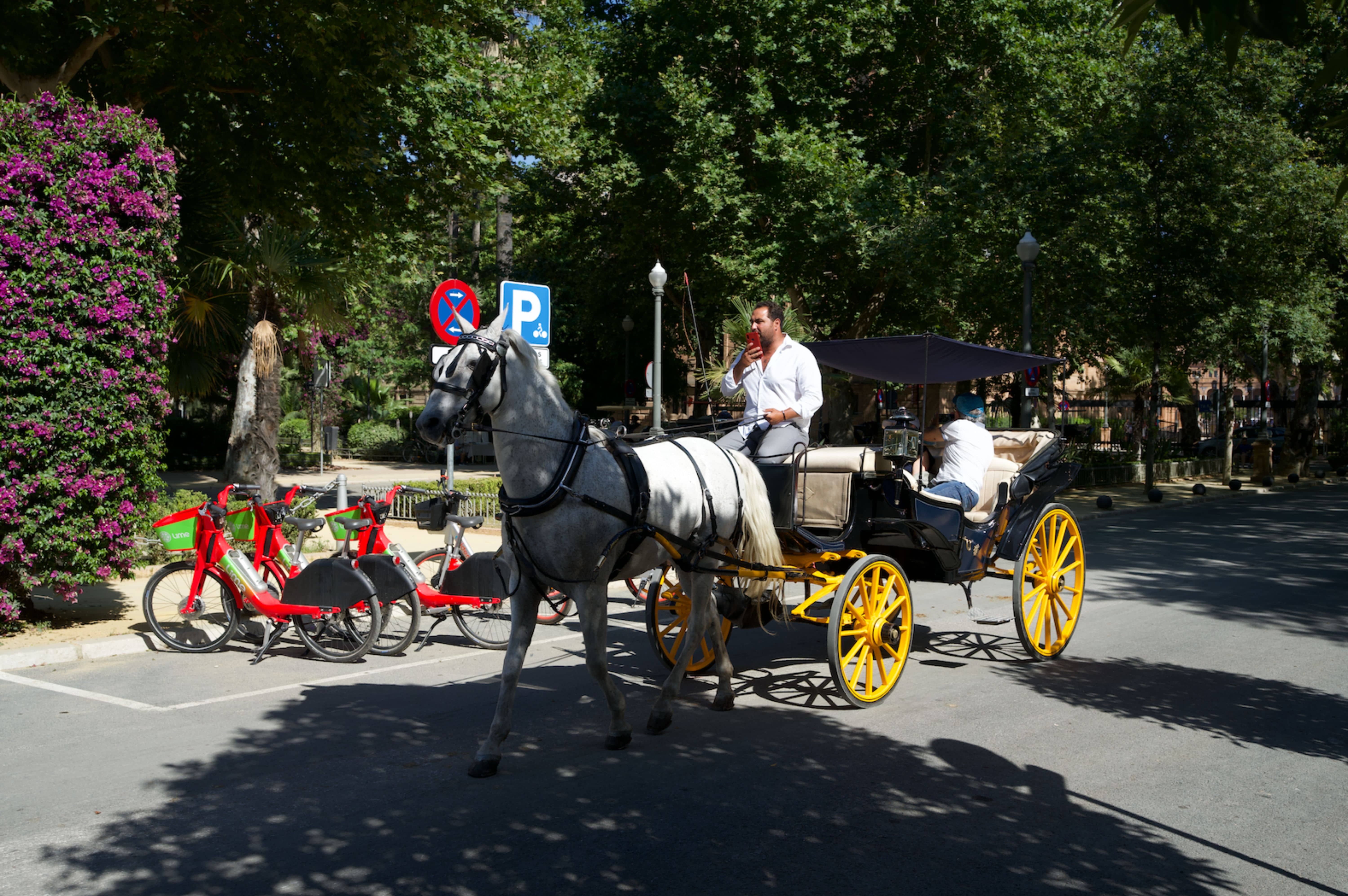 carros en el parque maria luisa en sevilla