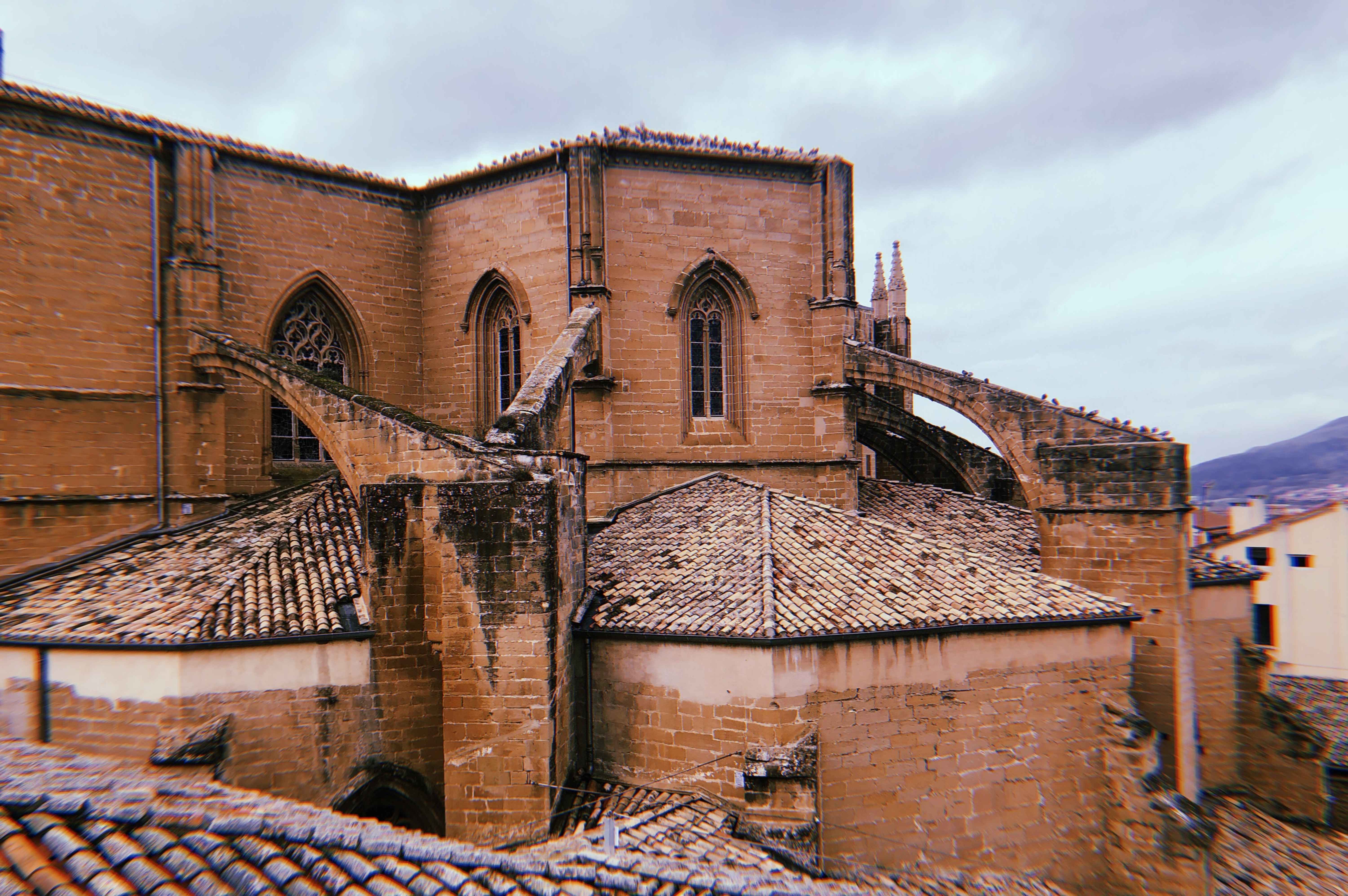 catedral de pamplona