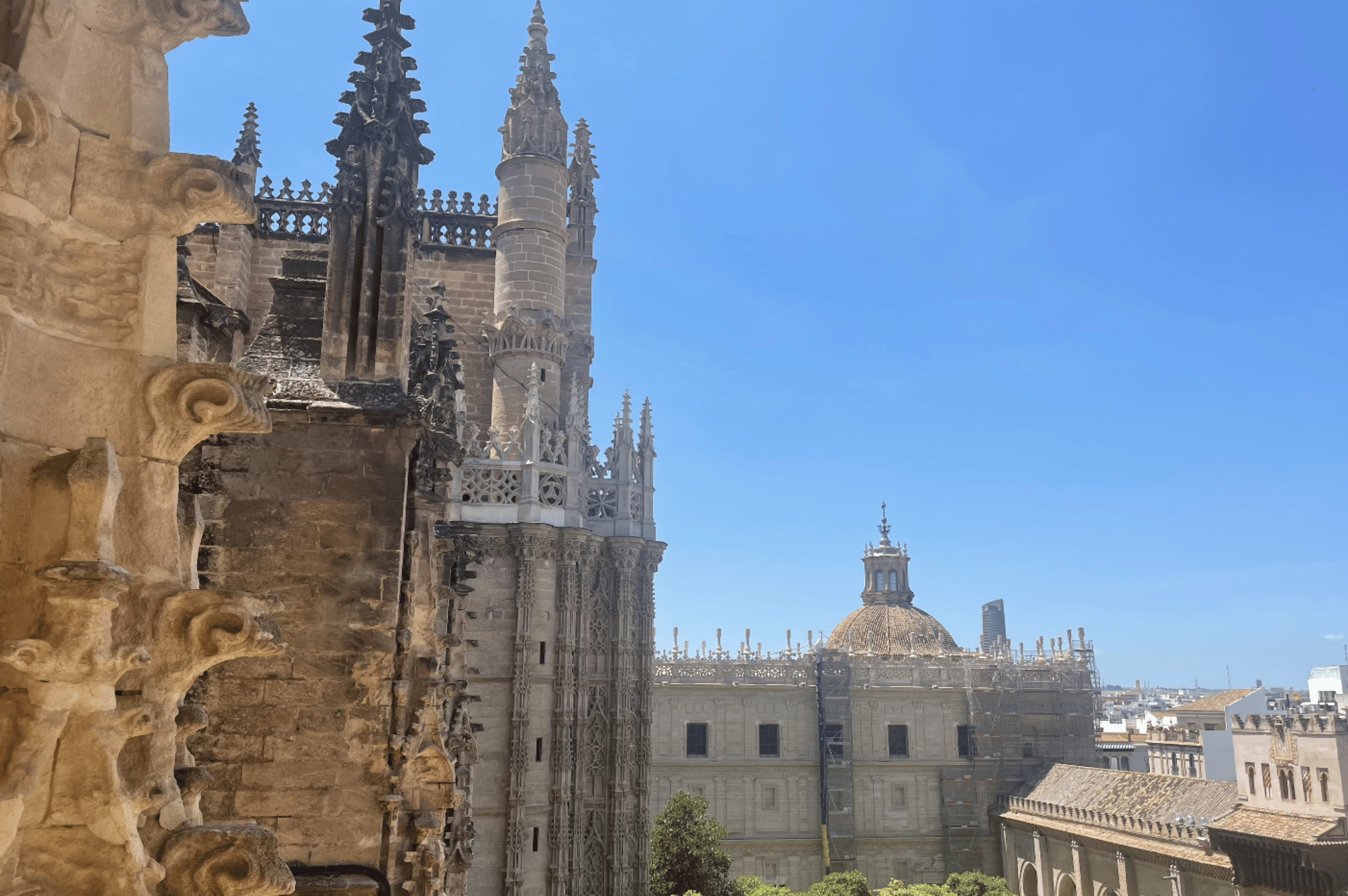 catedral-de-sevilla-view-from-the-top