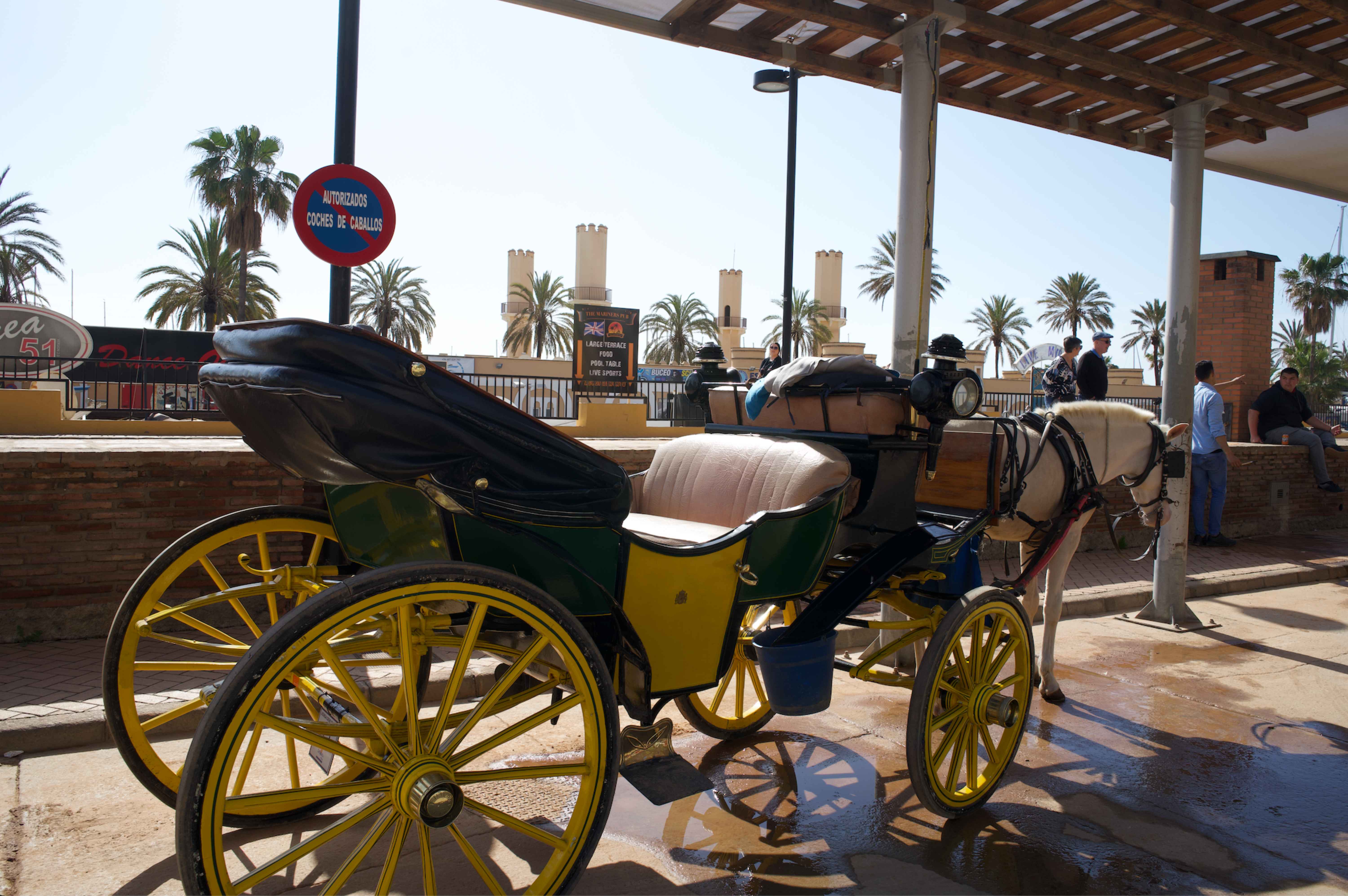 coche de caballo fuengirola spain