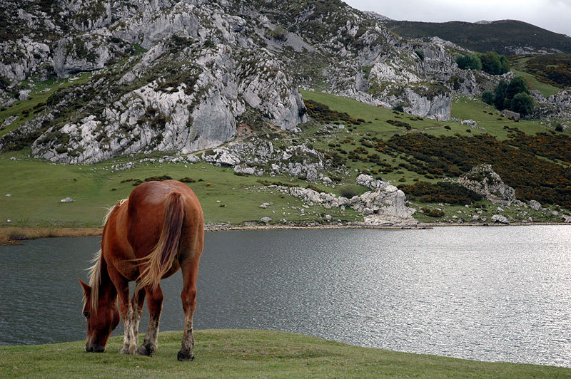 Lakes of Covadonga